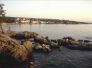 njivice